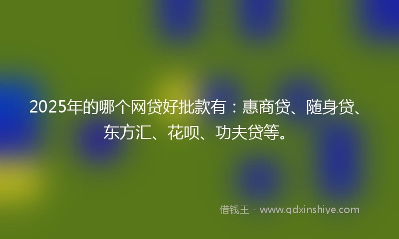2025年的哪个网贷好批款有：惠商贷、随身贷、东方汇、花呗、功夫贷等。