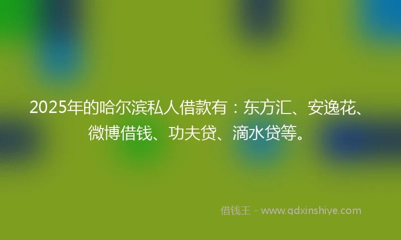 2025年的哈尔滨私人借款有：东方汇、安逸花、微博借钱、功夫贷、滴水贷等。