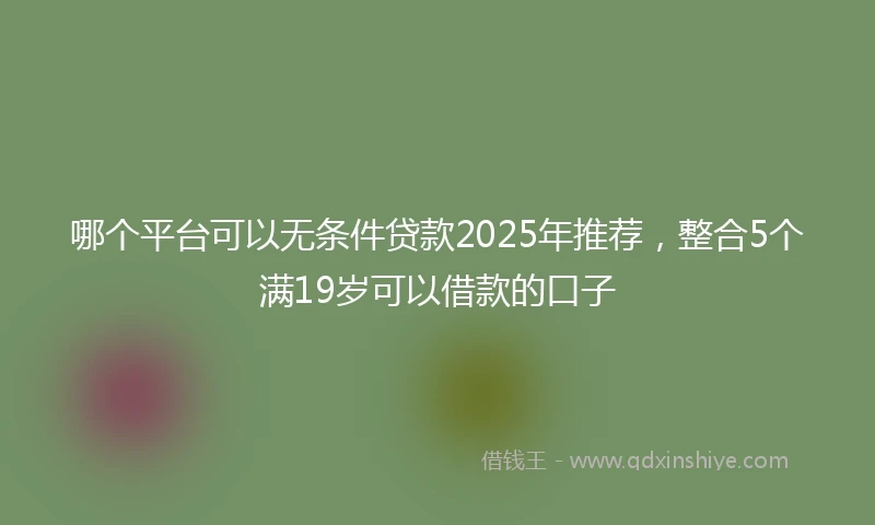 哪个平台可以无条件贷款2025年推荐，整合5个满19岁可以借款的口子