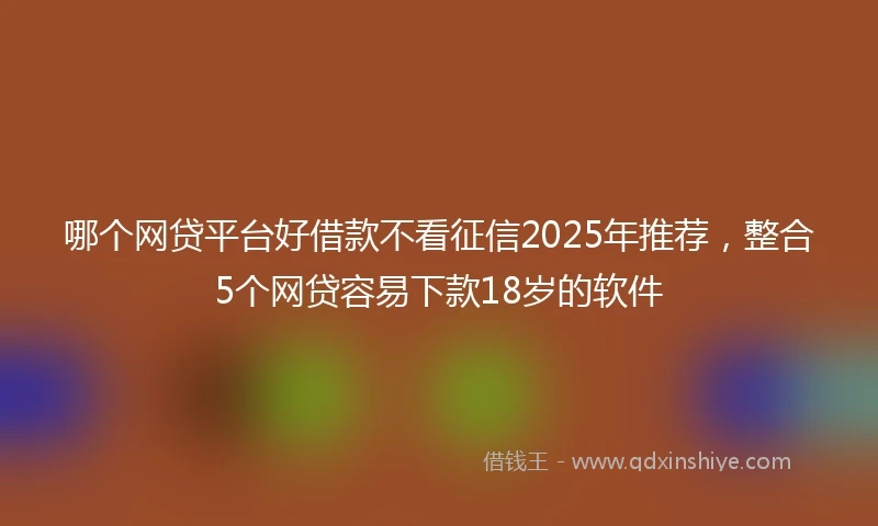 哪个网贷平台好借款不看征信2025年推荐，整合5个网贷容易下款18岁的软件