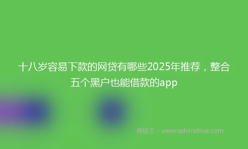 十八岁容易下款的网贷有哪些2025年推荐，整合五个黑户也能借款的app