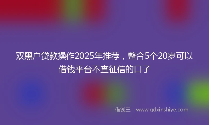 双黑户贷款操作2025年推荐，整合5个20岁可以借钱平台不查征信的口子