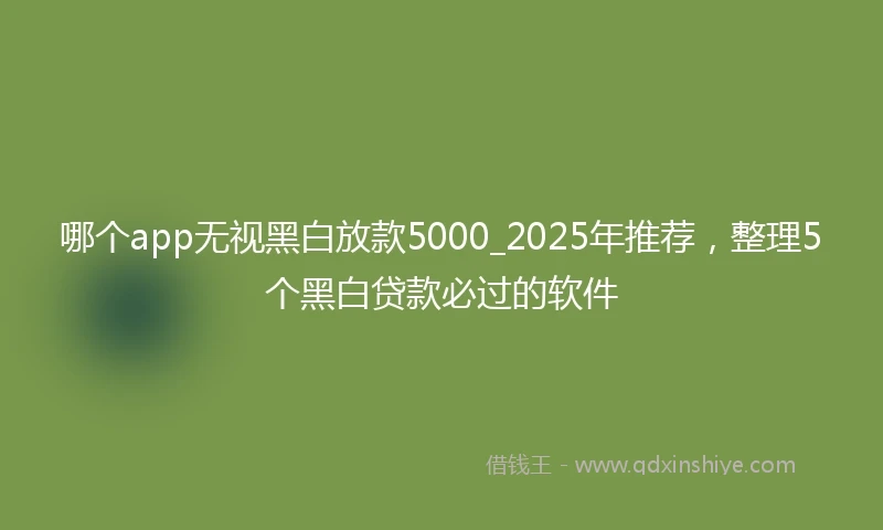 哪个app无视黑白放款5000_2025年推荐，整理5个黑白贷款必过的软件