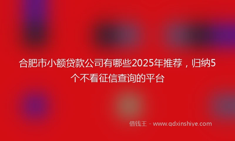 合肥市小额贷款公司有哪些2025年推荐，归纳5个不看征信查询的平台