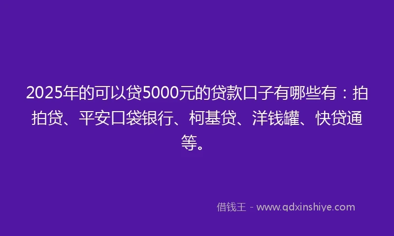 2025年的可以贷5000元的贷款口子有哪些有：拍拍贷、平安口袋银行、柯基贷、洋钱罐、快贷通等。