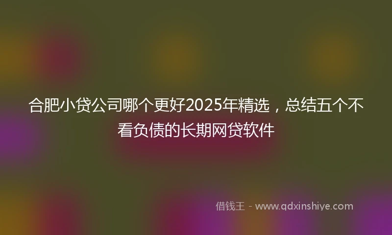 合肥小贷公司哪个更好2025年精选，总结五个不看负债的长期网贷软件