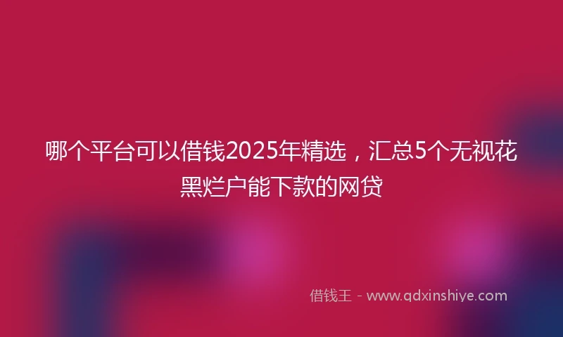 哪个平台可以借钱2025年精选，汇总5个无视花黑烂户能下款的网贷