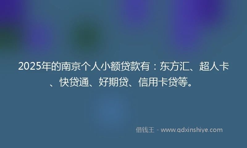 2025年的南京个人小额贷款有：东方汇、超人卡、快贷通、好期贷、信用卡贷等。