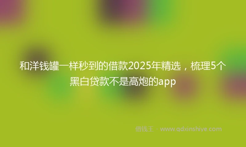 和洋钱罐一样秒到的借款2025年精选，梳理5个黑白贷款不是高炮的app