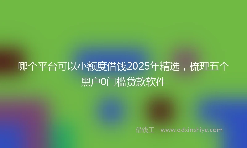 哪个平台可以小额度借钱2025年精选,梳理五个黑户0门槛贷款软件