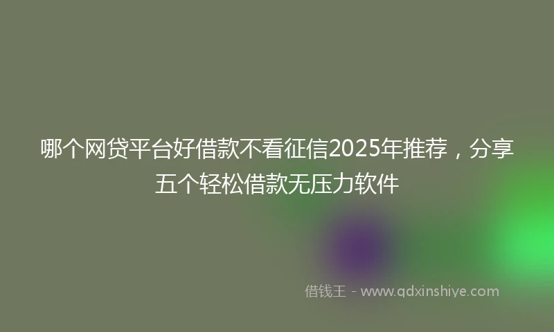 哪个网贷平台好借款不看征信2025年推荐，分享五个轻松借款无压力软件