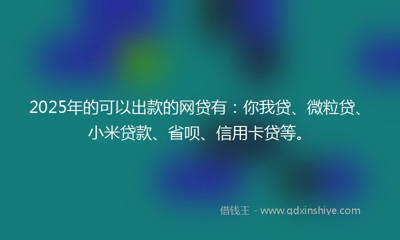 2025年的可以出款的网贷有：你我贷、微粒贷、小米贷款、省呗、信用卡贷等。