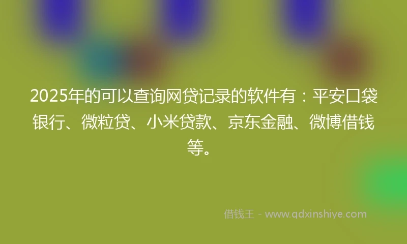 2025年的可以查询网贷记录的软件有：平安口袋银行、微粒贷、小米贷款、京东金融、微博借钱等。