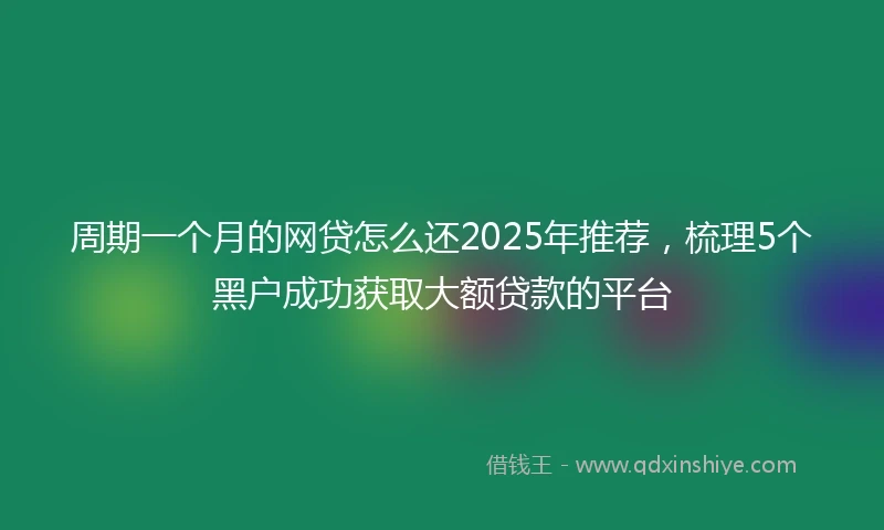 周期一个月的网贷怎么还2025年推荐，梳理5个黑户成功获取大额贷款的平台
