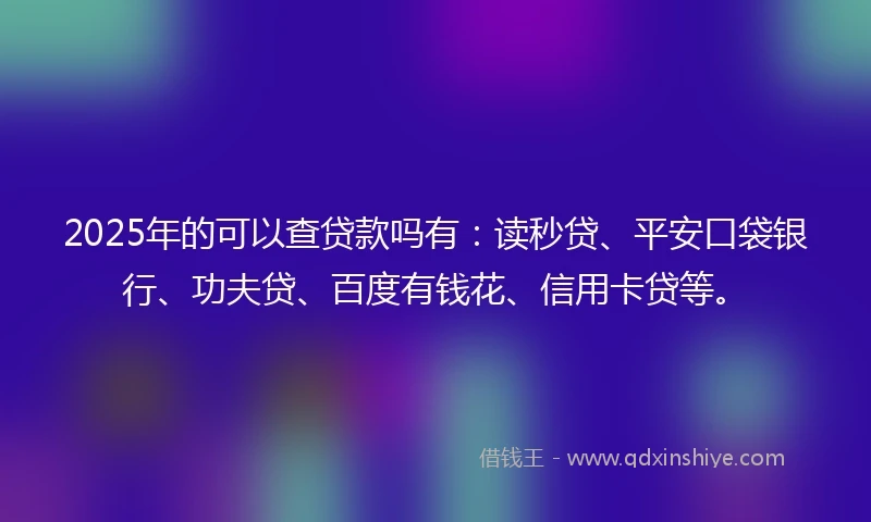 2025年的可以查贷款吗有：读秒贷、平安口袋银行、功夫贷、百度有钱花、信用卡贷等。