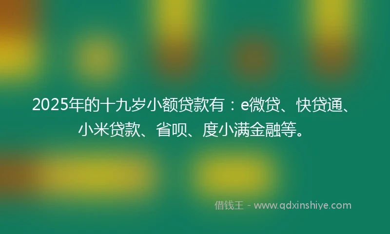 2025年的十九岁小额贷款有：e微贷、快贷通、小米贷款、省呗、度小满金融等。