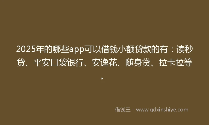 2025年的哪些app可以借钱小额贷款的有：读秒贷、平安口袋银行、安逸花、随身贷、拉卡拉等。