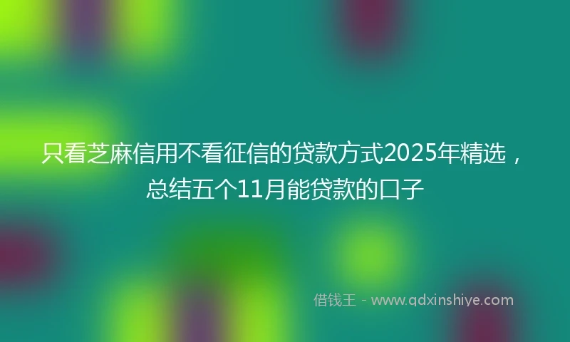 只看芝麻信用不看征信的贷款方式2025年精选，总结五个11月能贷款的口子