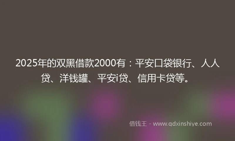 2025年的双黑借款2000有：平安口袋银行、人人贷、洋钱罐、平安i贷、信用卡贷等。