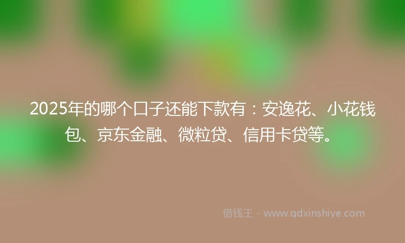 2025年的哪个口子还能下款有：安逸花、小花钱包、京东金融、微粒贷、信用卡贷等。