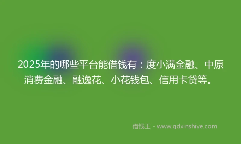 2025年的哪些平台能借钱有:度小满金融、中原消费金融、融逸花、小花钱包、信用卡贷等。