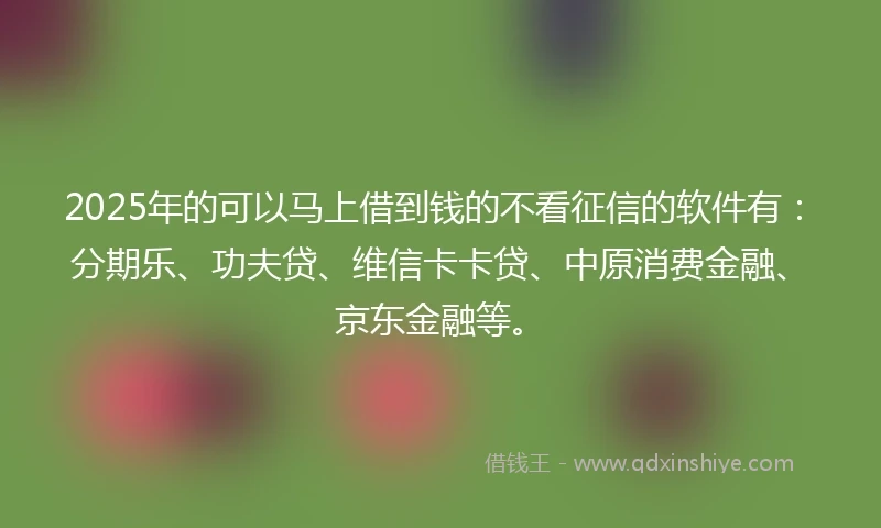 2025年的可以马上借到钱的不看征信的软件有：分期乐、功夫贷、维信卡卡贷、中原消费金融、京东金融等。