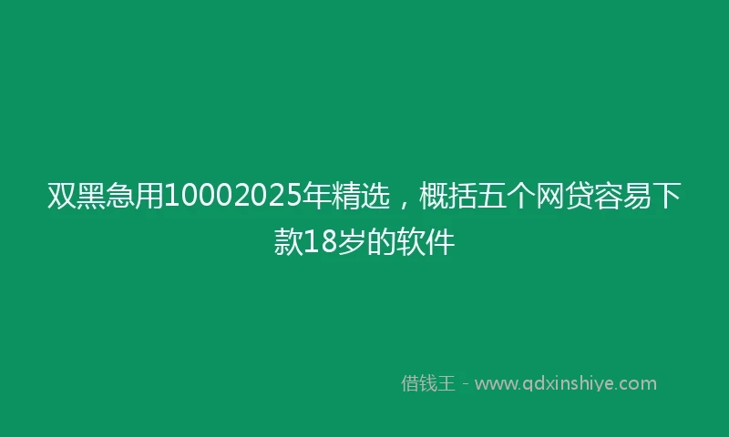 双黑急用10002025年精选，概括五个网贷容易下款18岁的软件