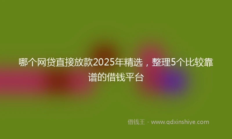 哪个网贷直接放款2025年精选，整理5个比较靠谱的借钱平台
