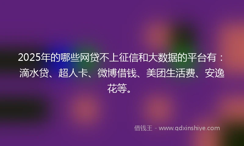 2025年的哪些网贷不上征信和大数据的平台有：滴水贷、超人卡、微博借钱、美团生活费、安逸花等。