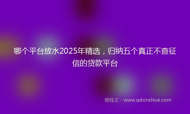 哪个平台放水2025年精选，归纳五个真正不查征信的贷款平台