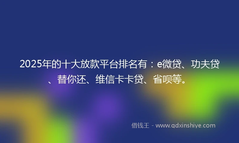 2025年的十大放款平台排名有：e微贷、功夫贷、替你还、维信卡卡贷、省呗等。