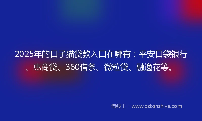 2025年的口子猫贷款入口在哪有：平安口袋银行、惠商贷、360借条、微粒贷、融逸花等。