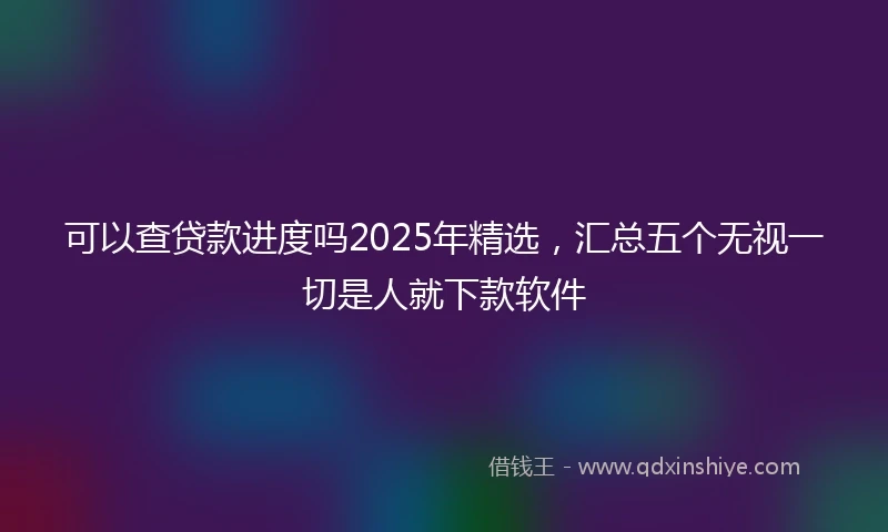 可以查贷款进度吗2025年精选，汇总五个无视一切是人就下款软件