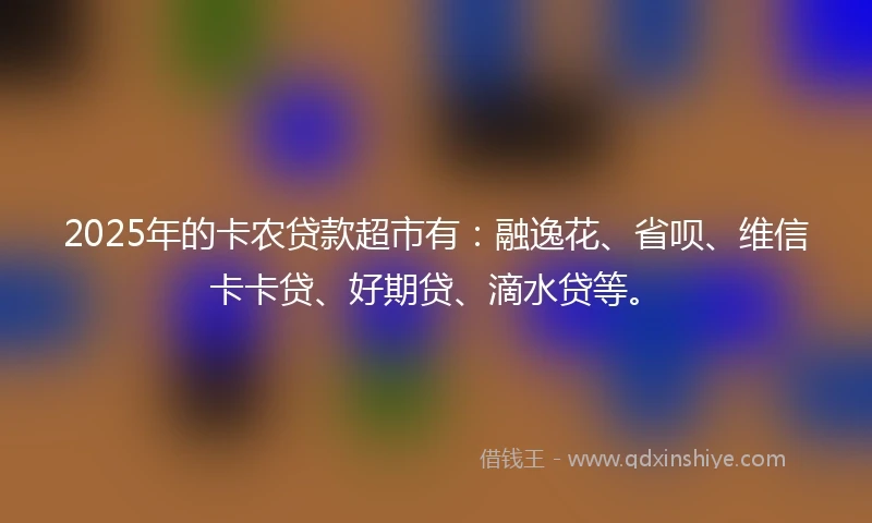 2025年的卡农贷款超市有：融逸花、省呗、维信卡卡贷、好期贷、滴水贷等。