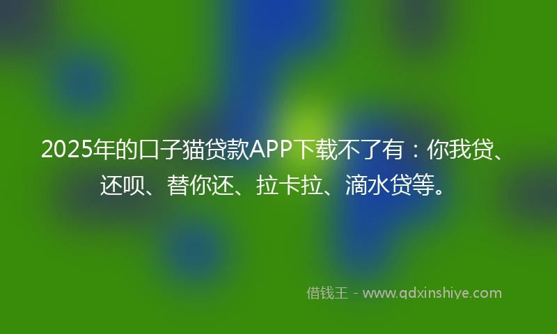 2025年的口子猫贷款APP下载不了有：你我贷、还呗、替你还、拉卡拉、滴水贷等。