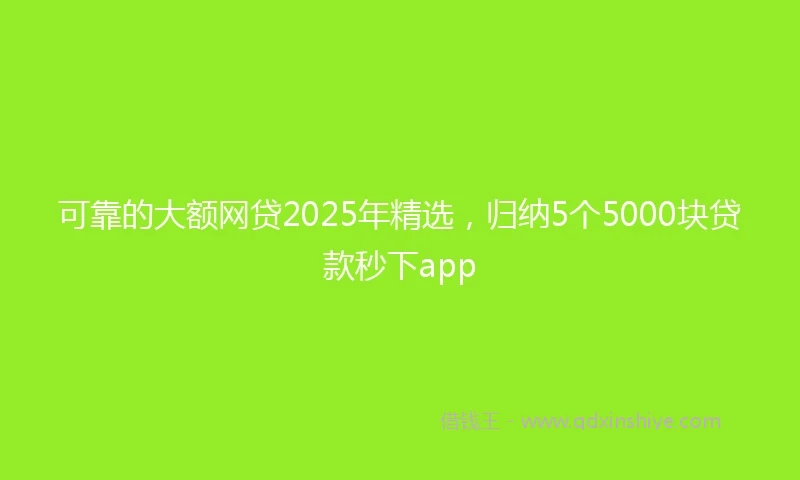 可靠的大额网贷2025年精选,归纳5个5000块贷款秒下app