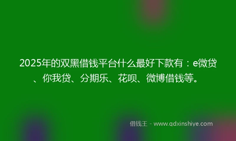 2025年的双黑借钱平台什么最好下款有：e微贷、你我贷、分期乐、花呗、微博借钱等。