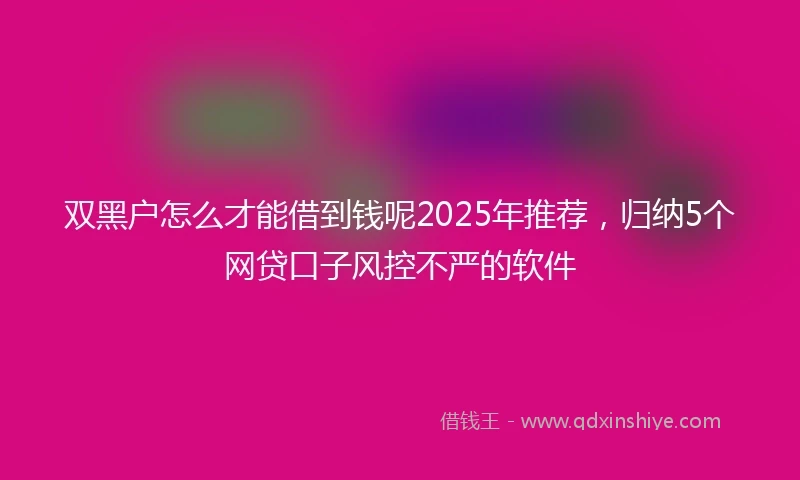 双黑户怎么才能借到钱呢2025年推荐，归纳5个网贷口子风控不严的软件