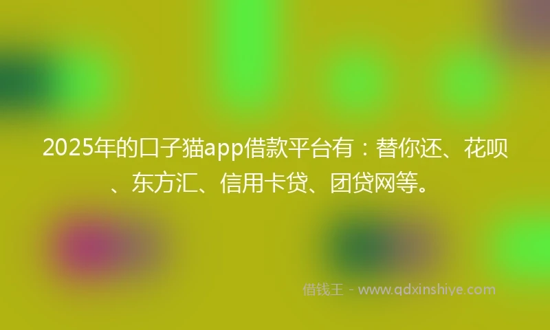 2025年的口子猫app借款平台有：替你还、花呗、东方汇、信用卡贷、团贷网等。