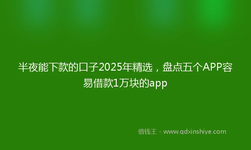 半夜能下款的口子2025年精选，盘点五个APP容易借款1万块的app