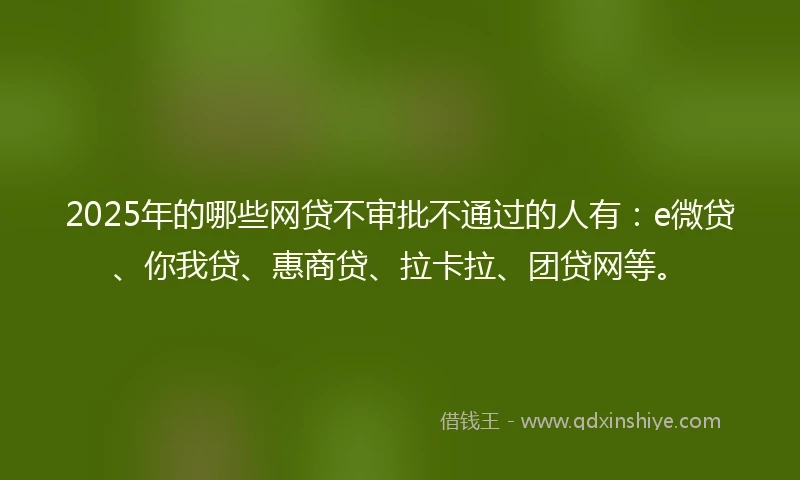 2025年的哪些网贷不审批不通过的人有：e微贷、你我贷、惠商贷、拉卡拉、团贷网等。