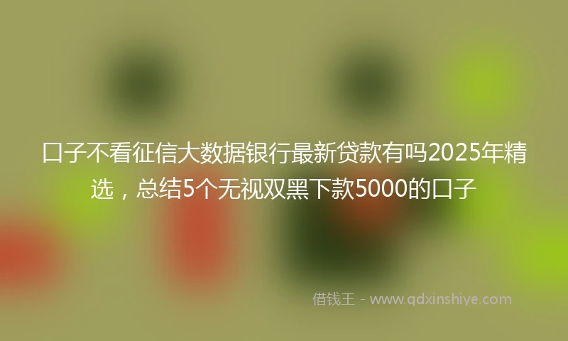 口子不看征信大数据银行最新贷款有吗2025年精选，总结5个无视双黑下款5000的口子