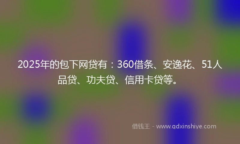 2025年的包下网贷有：360借条、安逸花、51人品贷、功夫贷、信用卡贷等。