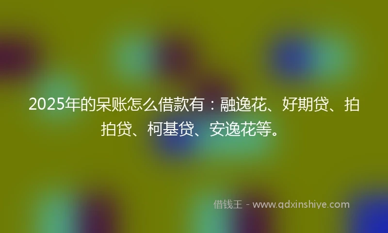2025年的呆账怎么借款有：融逸花、好期贷、拍拍贷、柯基贷、安逸花等。