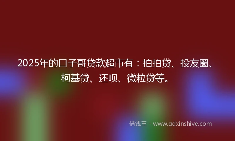2025年的口子哥贷款超市有：拍拍贷、投友圈、柯基贷、还呗、微粒贷等。
