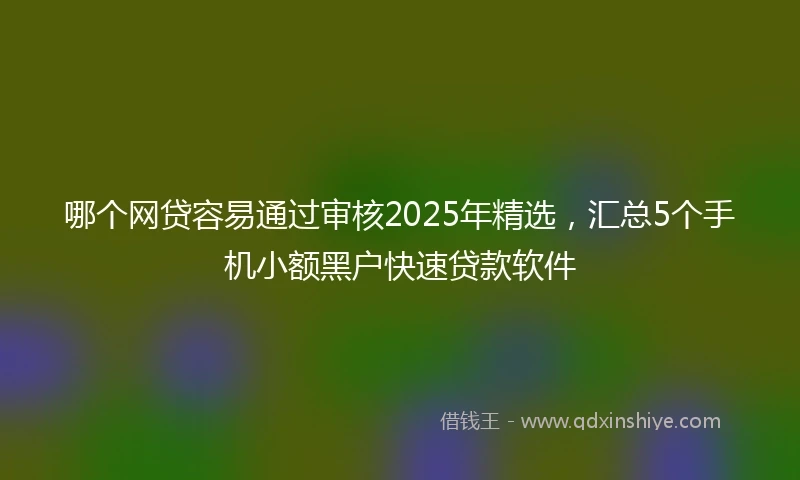 哪个网贷容易通过审核2025年精选，汇总5个手机小额黑户快速贷款软件