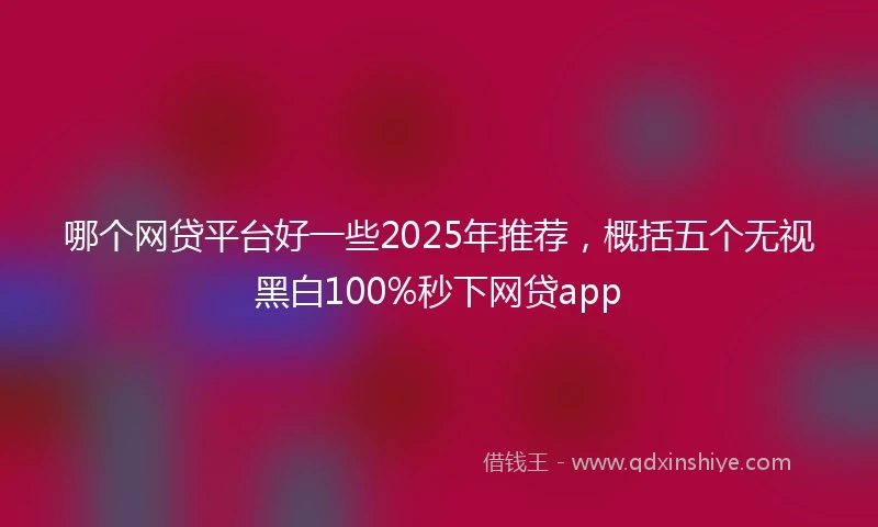 哪个网贷平台好一些2025年推荐,概括五个无视黑白100%秒下网贷app