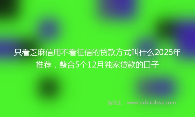 只看芝麻信用不看征信的贷款方式叫什么2025年推荐，整合5个12月独家贷款的口子