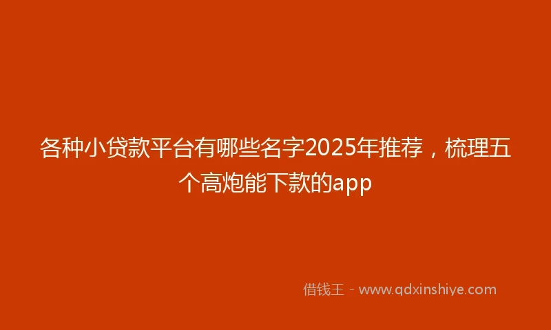 各种小贷款平台有哪些名字2025年推荐，梳理五个高炮能下款的app