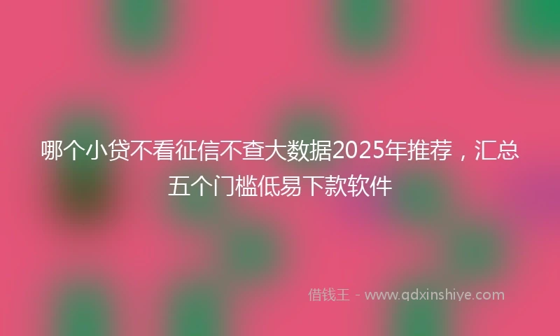哪个小贷不看征信不查大数据2025年推荐，汇总五个门槛低易下款软件